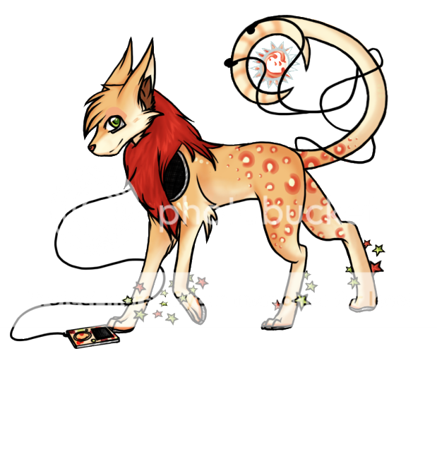 User Image